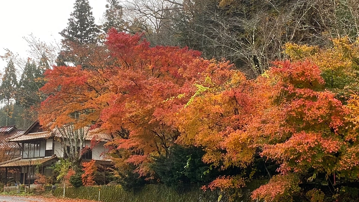 築200年の古民家に隣接するキャンプ場の整備