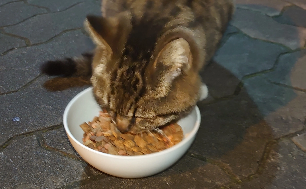 感謝のメール２