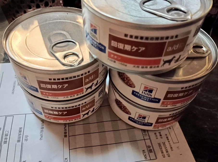 動物病院に行ったので…