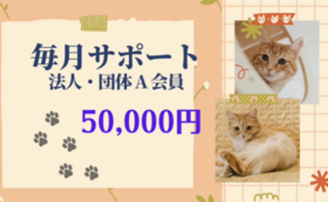 法人・団体  Aコース （個人希望もOK)