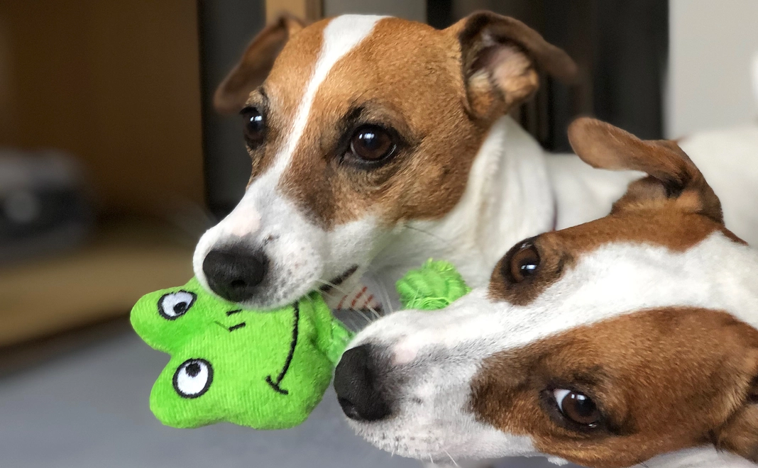 リターン不要【1】