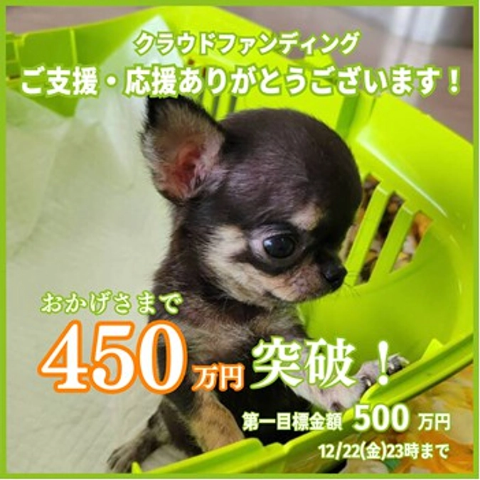 昨日、沢山の方々にご支援を賜り450万円突破しました。