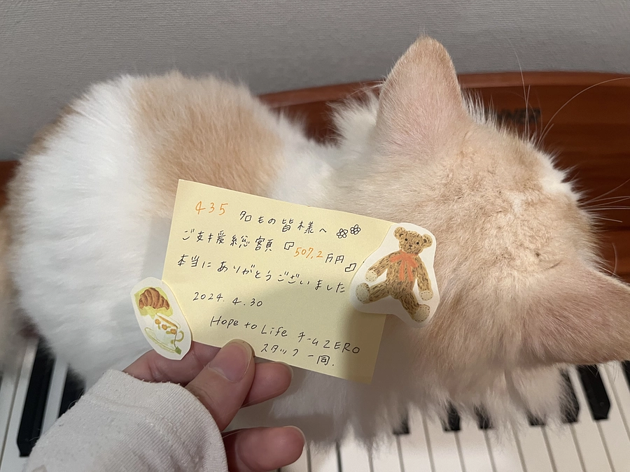 【速報】プロジェクトが成立しました 🎉 本当にありがとうございます（スタッフ更新）