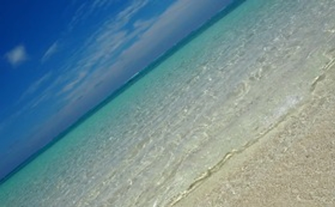 感謝のメール・贈答品①