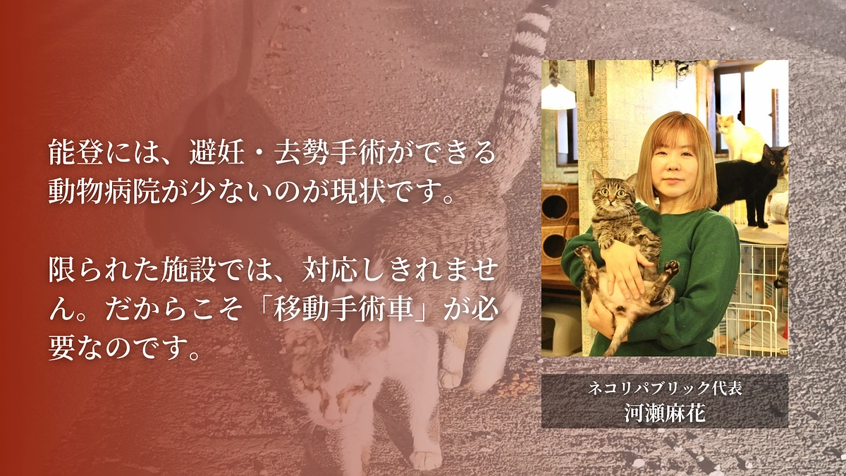 不幸な命を増やさない。  そして、被災者の方々の負担も減らす。｜ネコリパブリック　河瀬