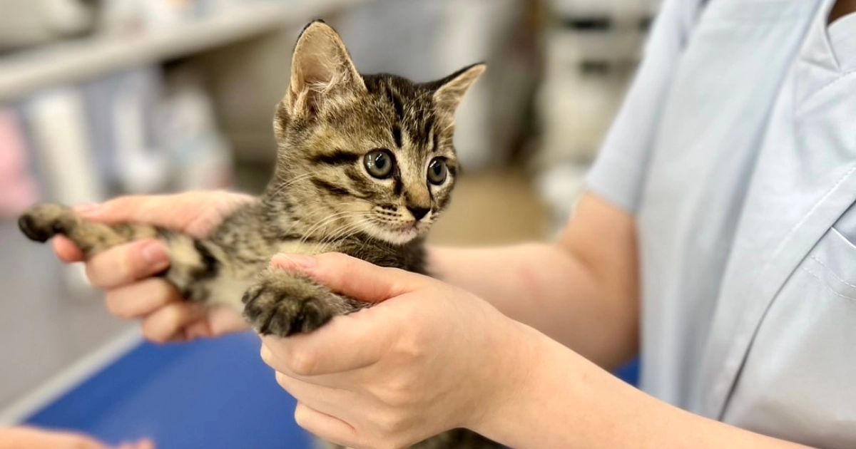 ワクチン接種に行ってきました