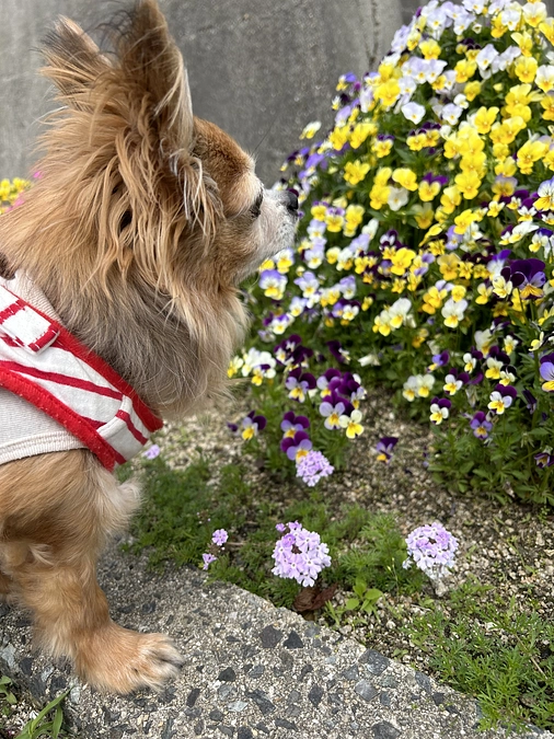 1年9カ月検診に行ってきました。