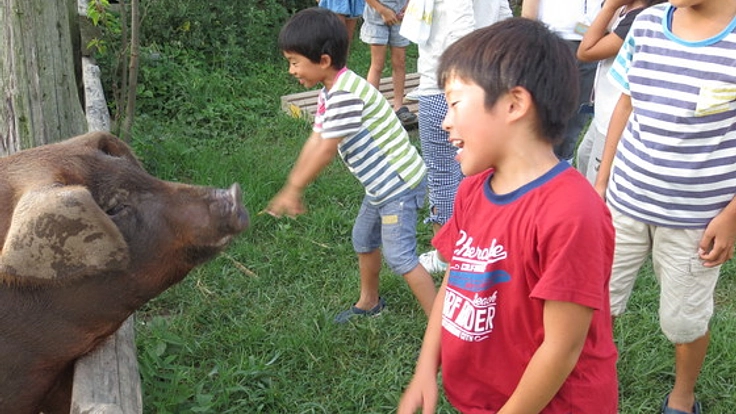 豚とわたしの2泊3日！命をつなぐ、育てて食べるファームステイ！