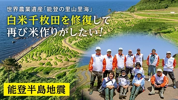 能登半島地震｜白米千枚田を修復し、再び米作りを。 のトップ画像