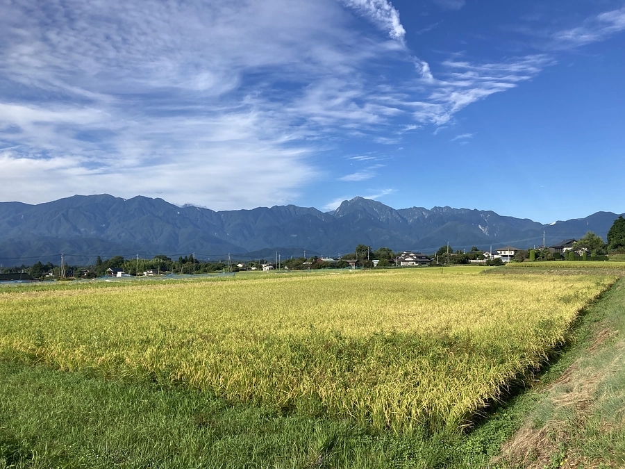 目標達成致しました！　ご支援&応援コメント、心より感謝申しあげます。