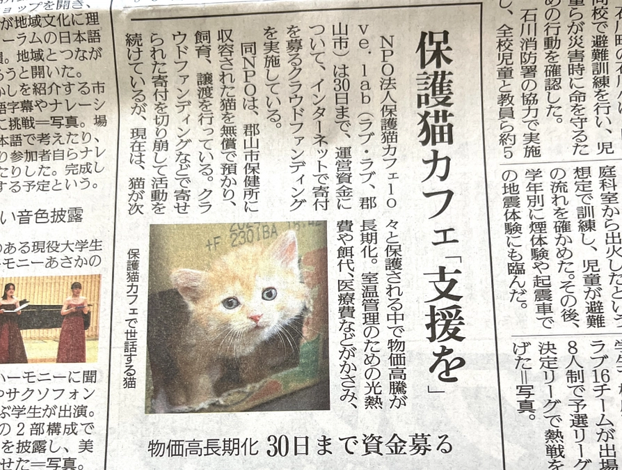 福島民友新聞社様に取り上げて頂きました。