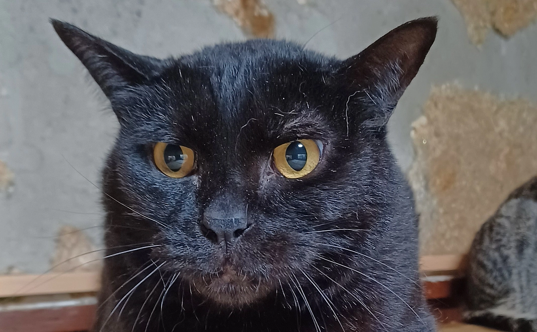 感謝のメール③