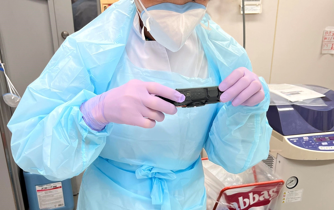 絶滅危惧種の死亡個体、解剖します