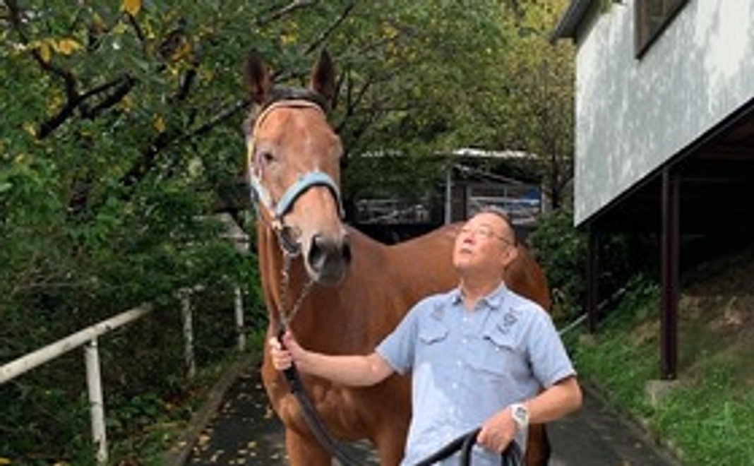 [3000円] プーリアフレイバー号に次の活躍の場を