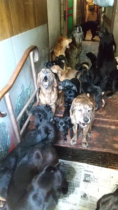 増やさない！蛇口を閉める！