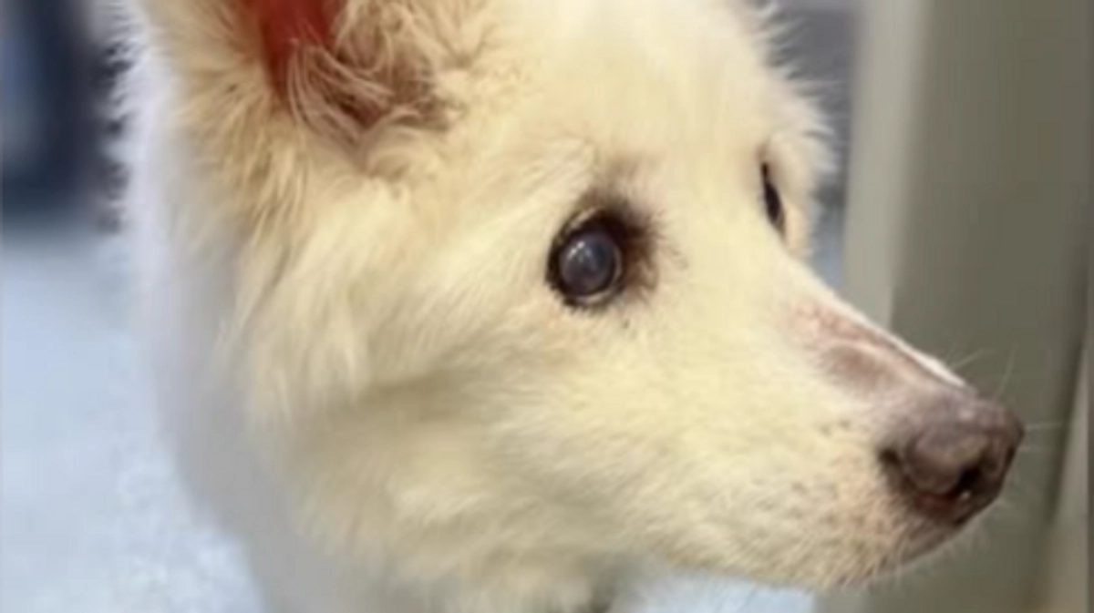 クラウドファンディング残り約2週間となりました！