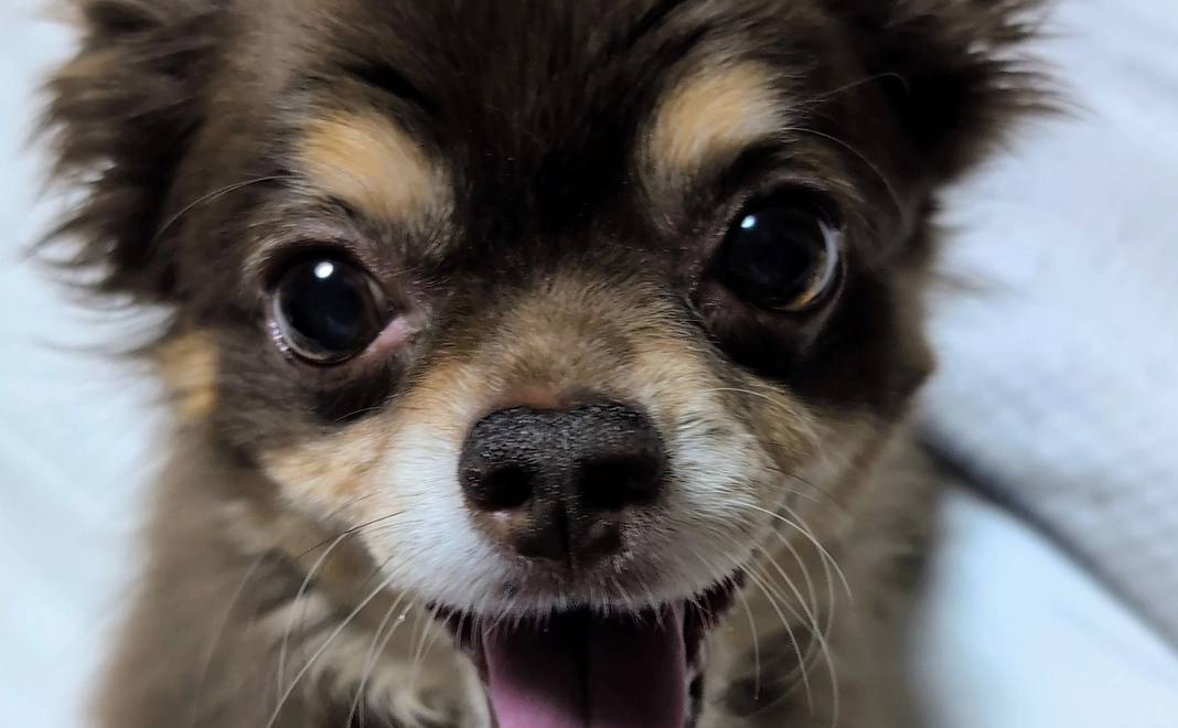 感謝の手紙　30000円