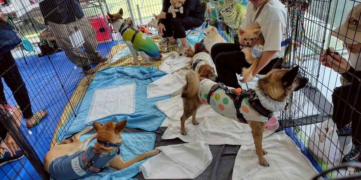 8月3日　トヨタユナイテッド  御殿場ながはら店様で譲渡会