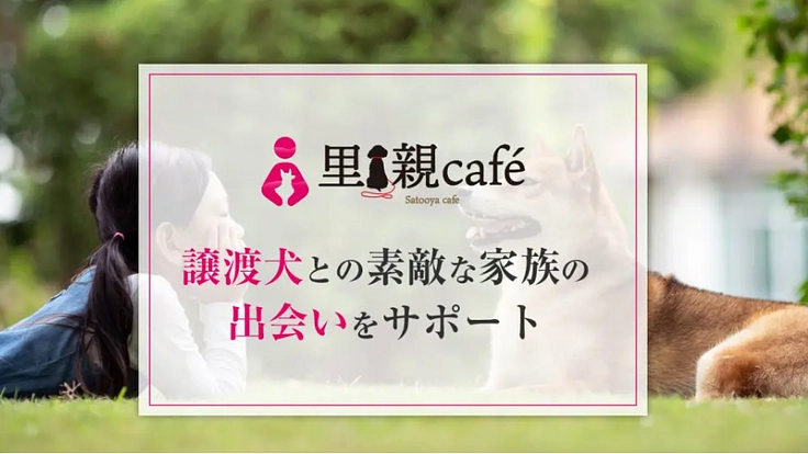 繁殖引退犬を助ける!~第2の「犬生」を幸せにするお手伝い~