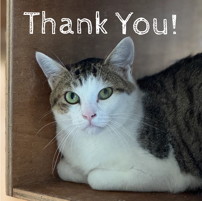 たくさんのご賛同ありがとうございます！