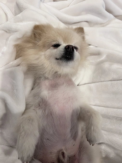 13日は大事な日