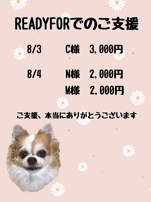 7月31日～8月4日までのご支援