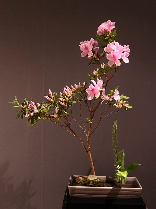 後期エントリーナンバーA-01