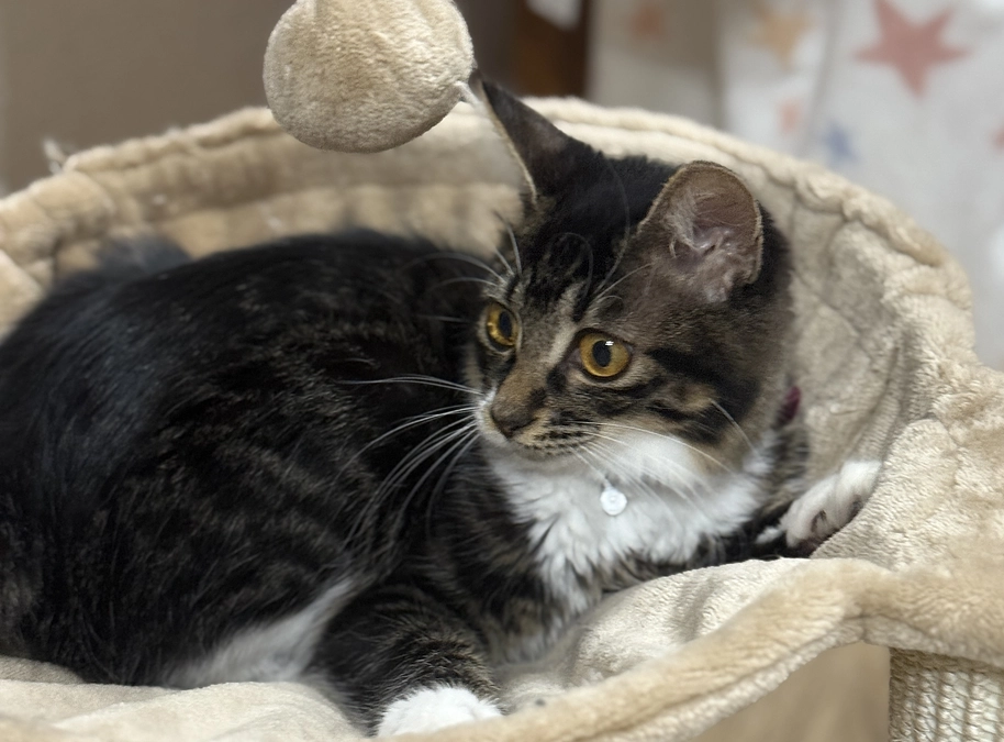 10月21日、受診日でした🏥