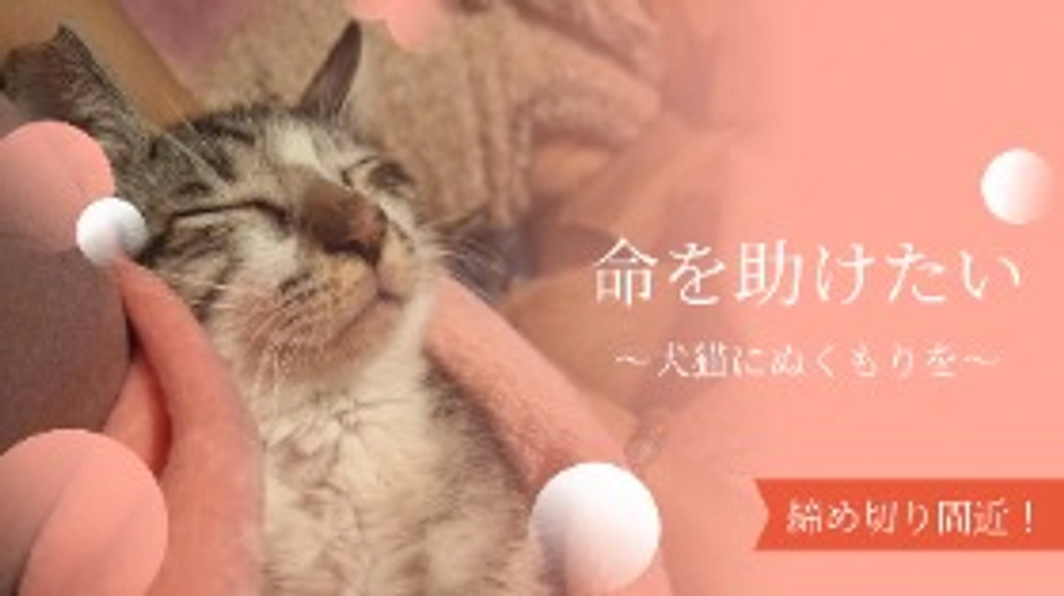 【残り4日！】新入りのお名前公開✨