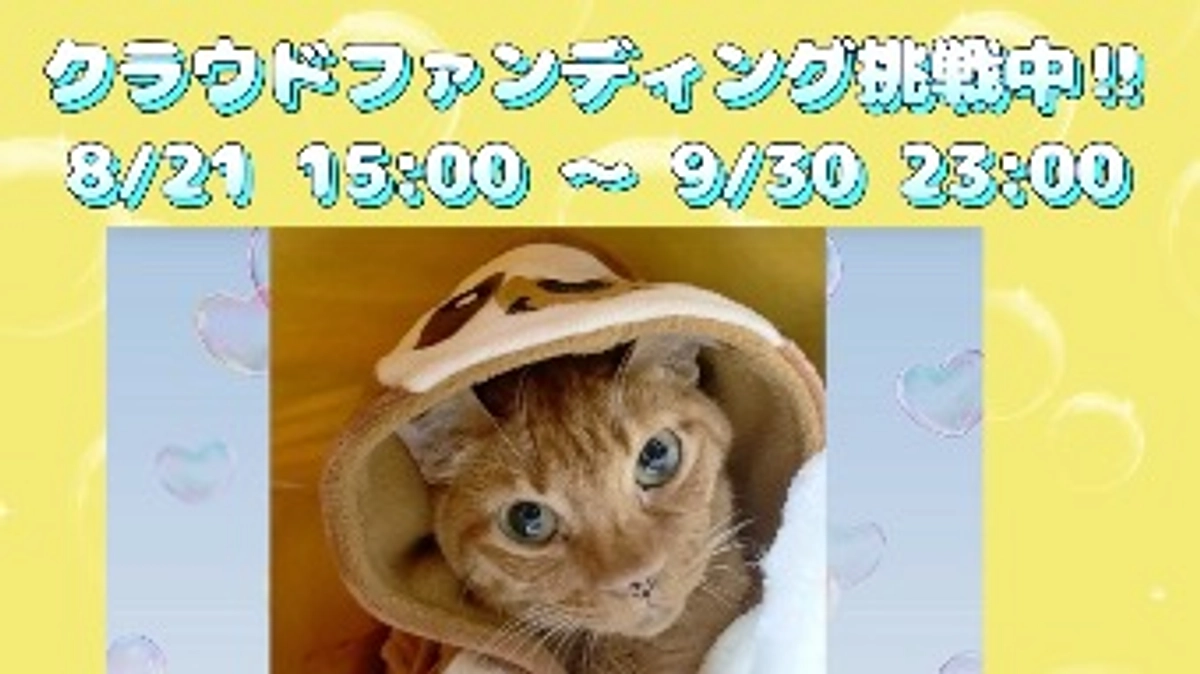 8/21 クラウドファンディング公開