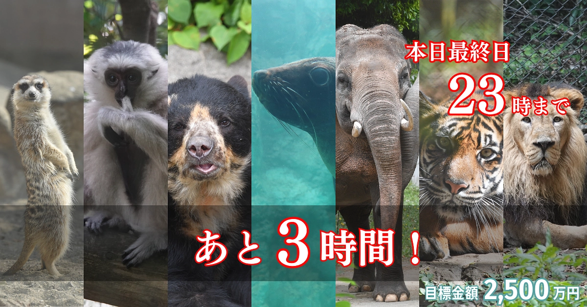 オットセイに快適な環境を！～プロジェクト終了まで【あと3時間】最後の拡散をお願いします～