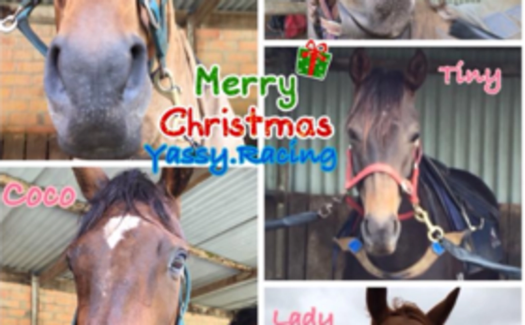 お気軽に、一口馬主