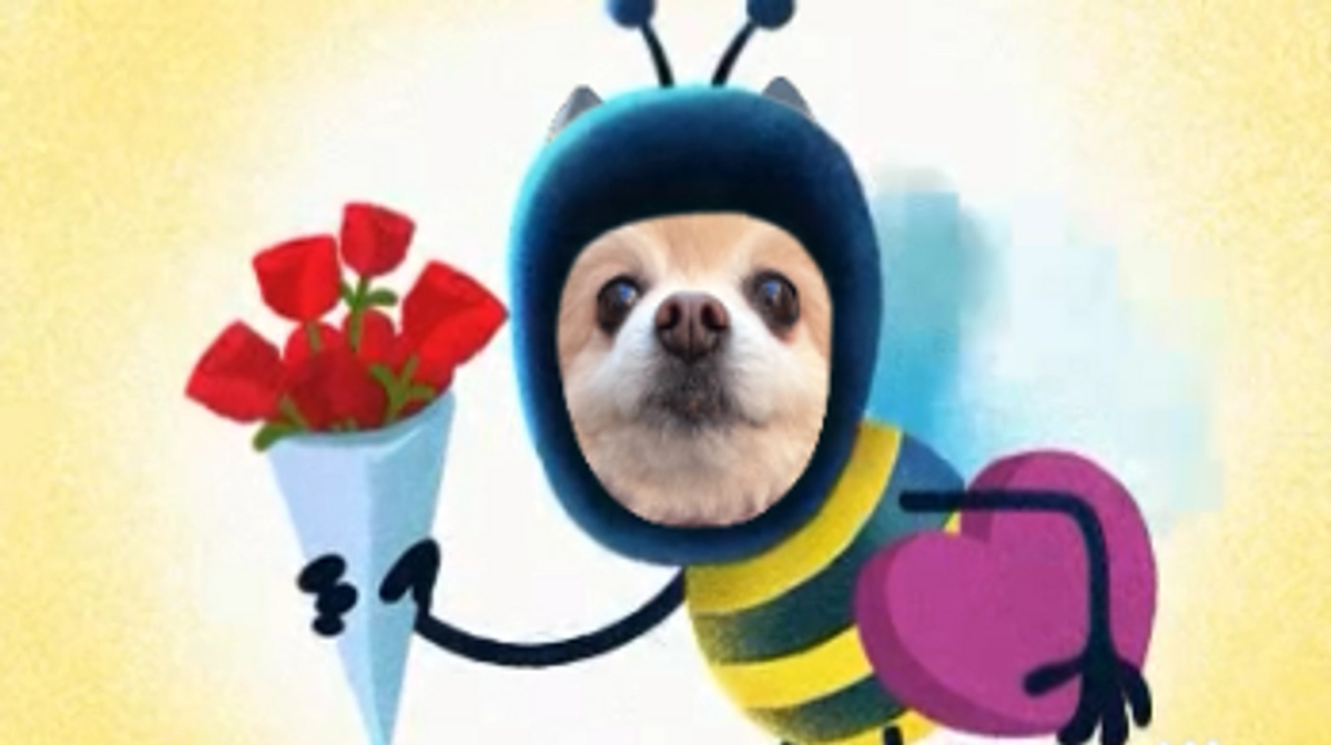 26/59 ☆ アプリを使って♪