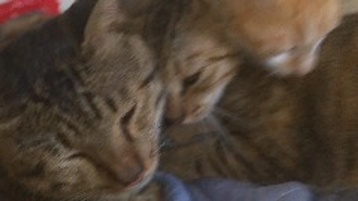 支援者の皆さんまだまだ暑いので水分補給をして熱中症気をつけて下さい😌