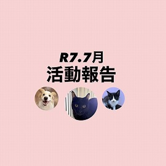 R７．７月活動報告