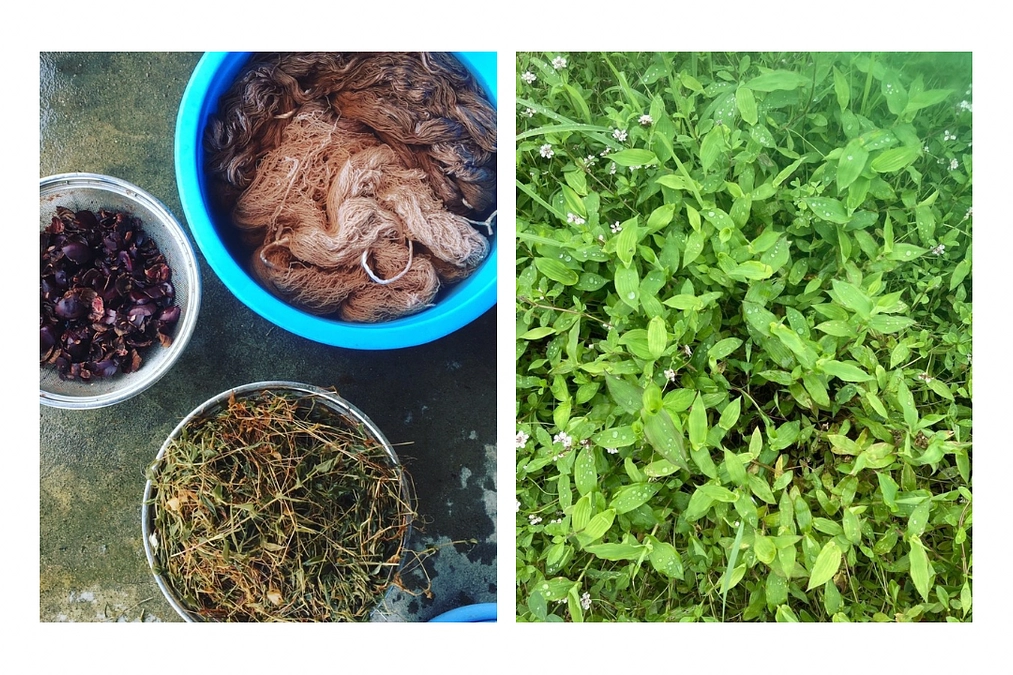 染色の材料について