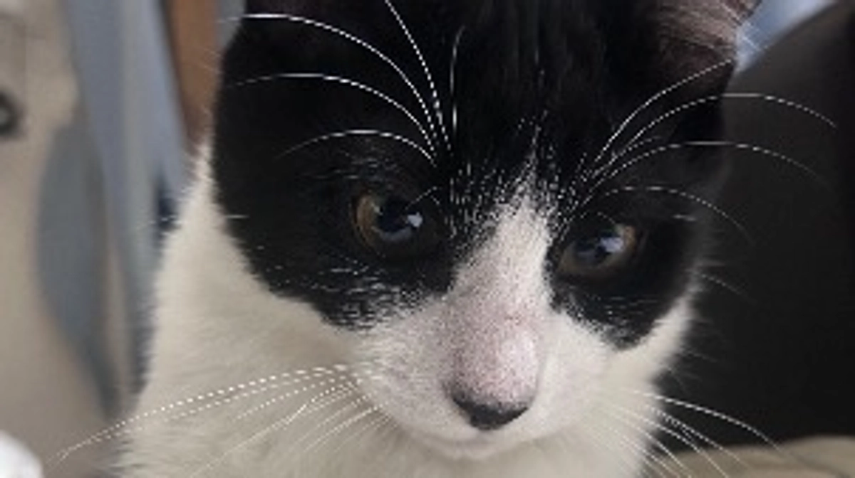 【ラストスパート】残りあと１時間になりました！