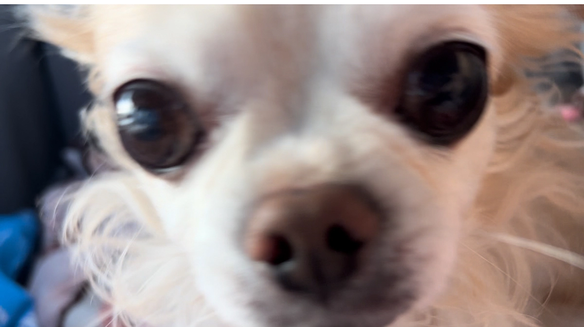 咳が減ってきました！