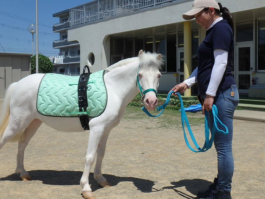 代理支援について