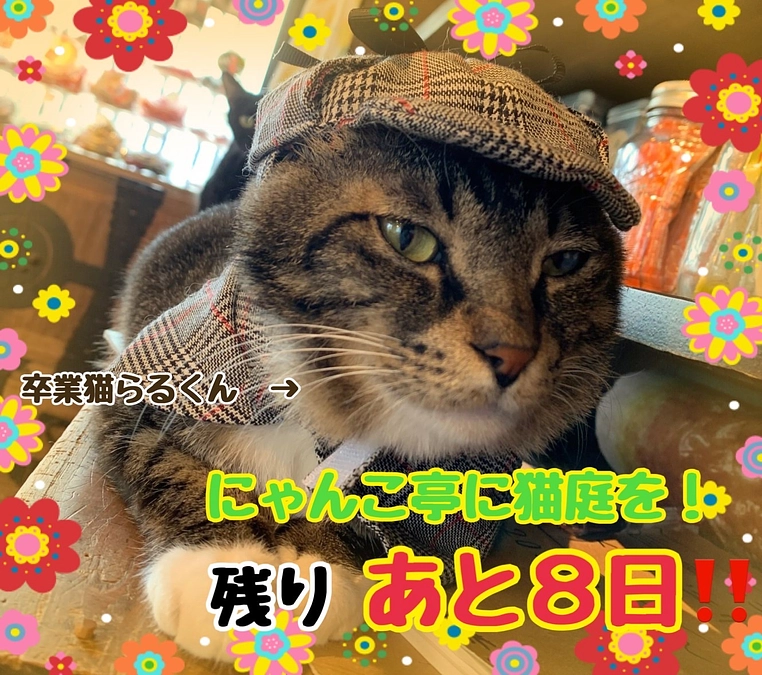 里親様から応援メッセージ②