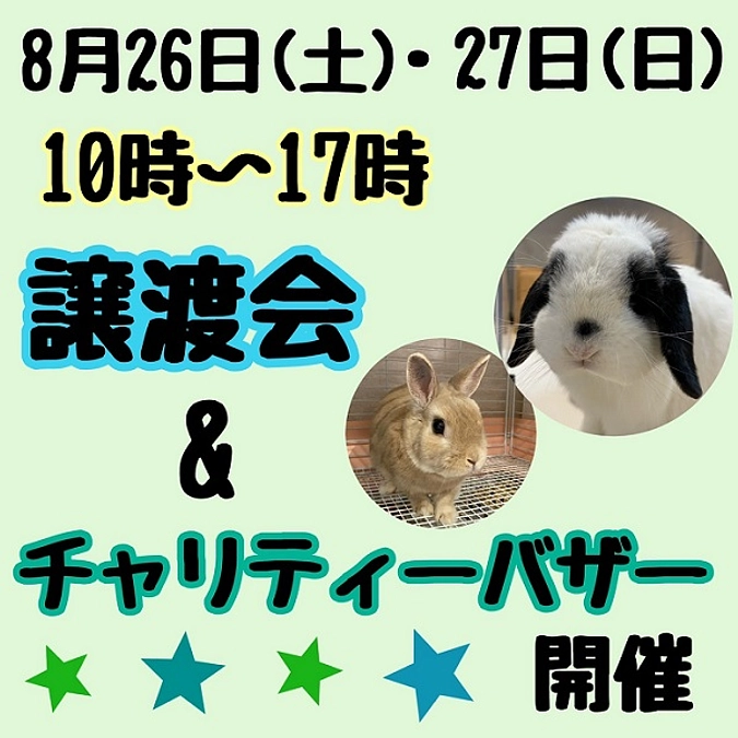 譲渡会＆チャリティーバザー開催のお知らせ