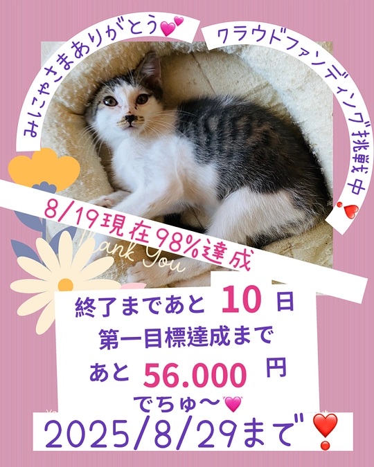 終了まであと10日〜達成まであと少しとなりました