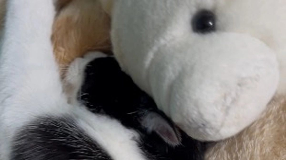 リターン進捗のご報告②