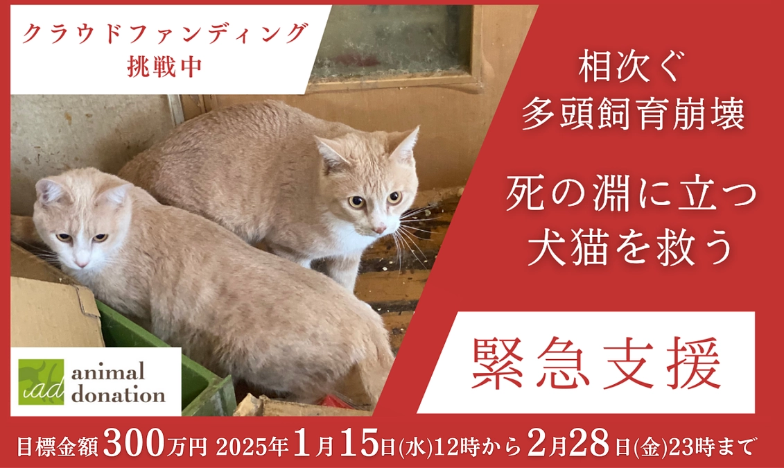 ホームページへご支援者様のお名前を掲載いたしました