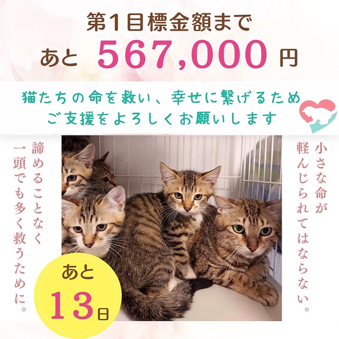 残り13日で、あと56万7000円…！