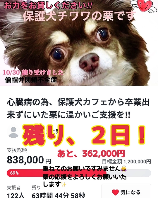 2024/1/25 クラウドファンディング残り2日 達成率70% 本日夜9時～LIVEをいたします