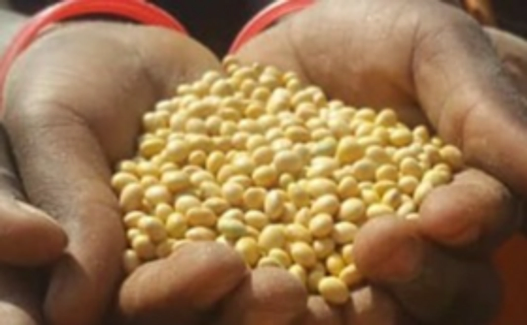 学校に贈る大豆種子1校分(0,25ha)支援コース