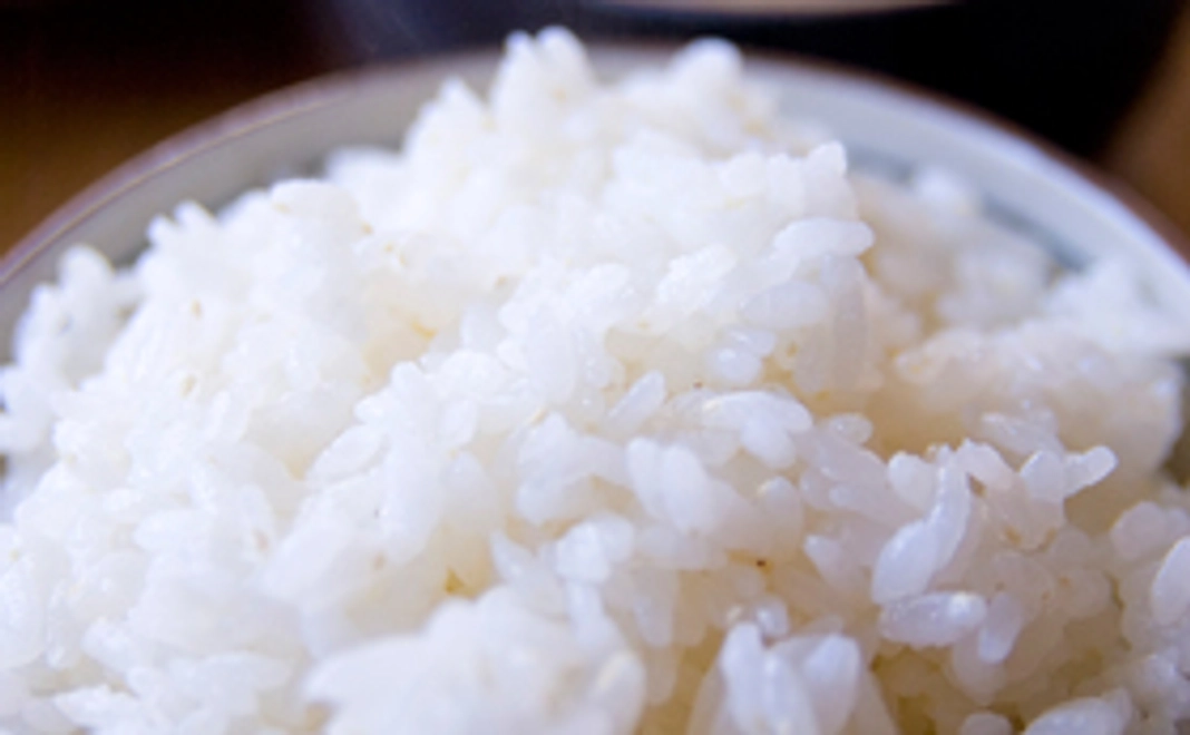 栃尾棚田の幻の米「山の米」５キロ