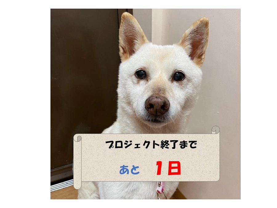 終了まで　残り【1日】！！