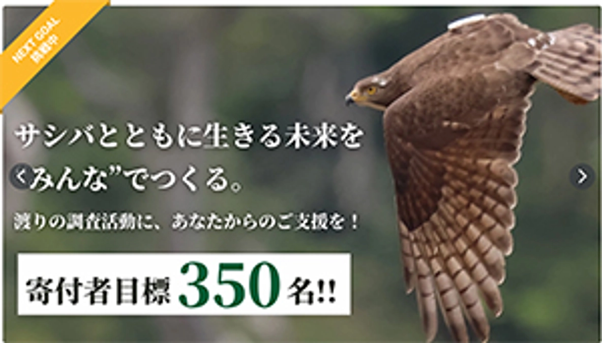 【年末のご挨拶】本年も大変お世話になりました。